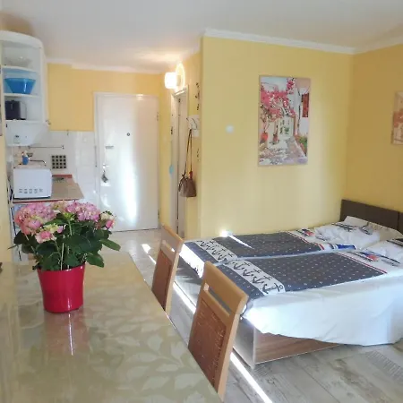 Apartmán Studio In Fonyod/balaton 33191 *